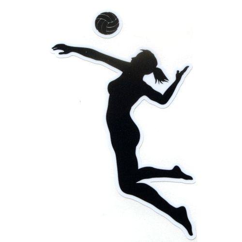 volleyball hitter clipart - photo #9